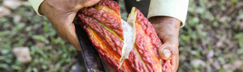 filling bags of coffee